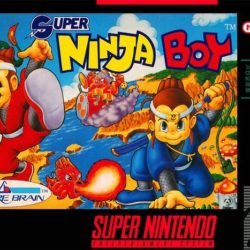 Super Ninja Boy