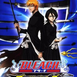 Coverart of Bleach: Blade Battlers