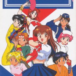 Seifuku Densetsu Pretty Fighter 