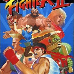 Street Fighter II - The World Warrior 