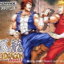 Double Dragon Advance