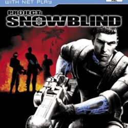 Project: Snowblind