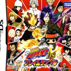 Katekyoo Hitman Reborn! DS Flame Rumble Mukuro Kyoushuu 