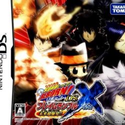 Katekyo Hitman Reborn! DS Flame Rumble X: Mirai Cho Bakuhatsu!! 