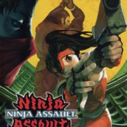 Ninja Assault