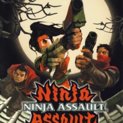 Ninja Assault
