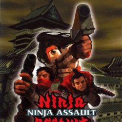 Ninja Assault