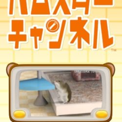 Hamster Channel