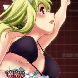 Misshitsu no Sacrifice - Jitka: Aru Heisa Shisetsu kara no Dasshutsu