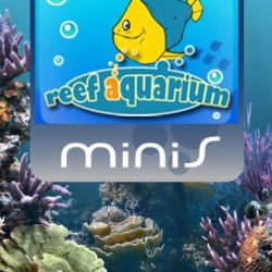 Reef Aquarium
