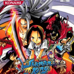 Shaman King: Power of Spirit