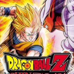 Dragon Ball Z: Shin Budokai