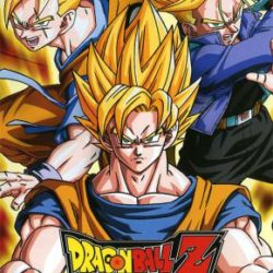 Dragon Ball Z: Shin Budokai 2