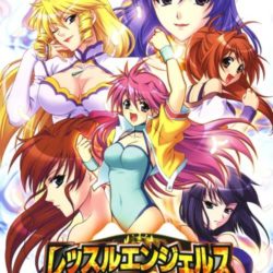 Wrestle Angels Survivor