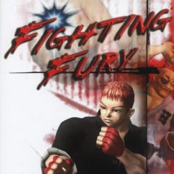 Fighting Fury