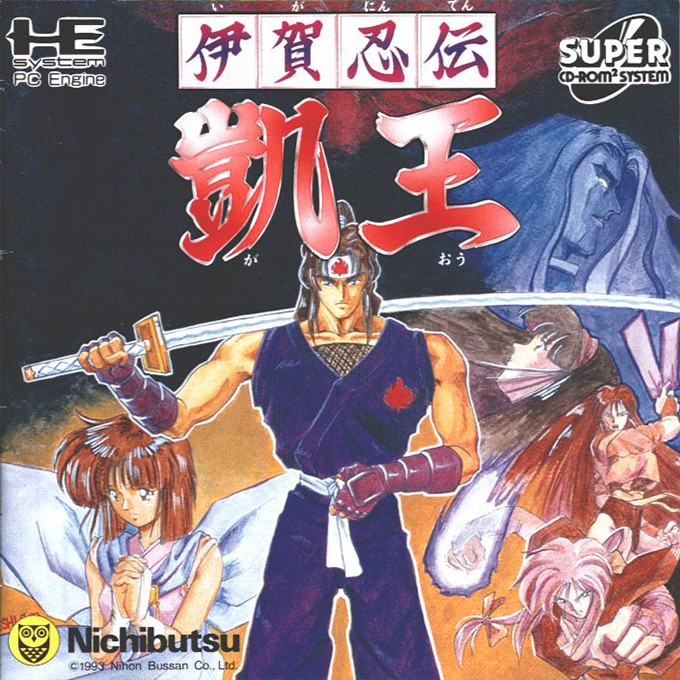 The coverart image of Iga Ninden Gaiou