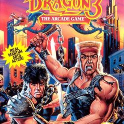 Double Dragon 3: The Arcade Game
