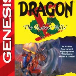 Double Dragon V: The Shadow Falls