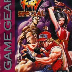 Fatal Fury Special