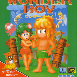 Wonder Boy / Revenge of Drancon