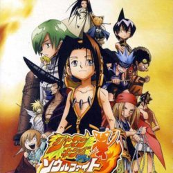 Coverart of Shaman King: Soul Fight