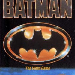 Batman: The Video Game