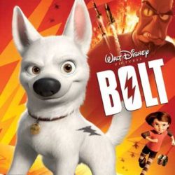 Bolt