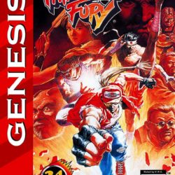 Fatal Fury 2