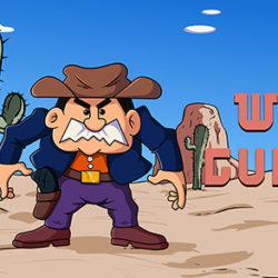 Wild Gunman: LCD MOD