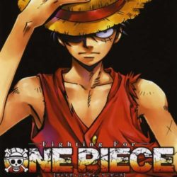 Fighting for One Piece