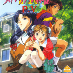 Super Real Mahjong P.V FX