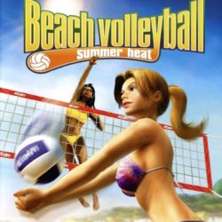 Summer Heat Beach Volleyball