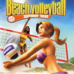 Summer Heat Beach Volleyball