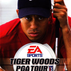Tiger Woods PGA Tour 2004