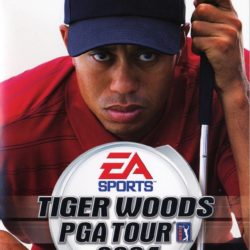 Tiger Woods PGA Tour 2004