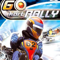 Go Kart Rally