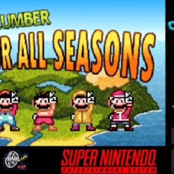 A Plumber For All Seasons