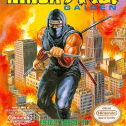 Coverart of Ninja Gaiden (Restoration)