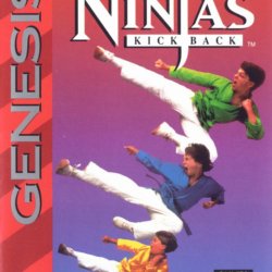 Coverart of 3 Ninjas Kick Back