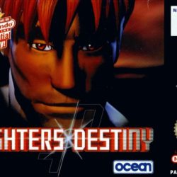 Fighters Destiny
