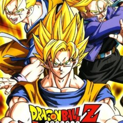 Dragon Ball Z: Shin Budokai 2