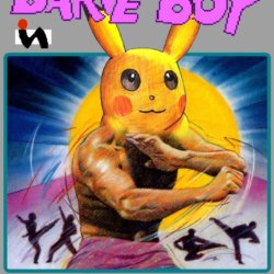 Barve Boy: Kung Fu Pokechu