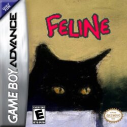 Feline
