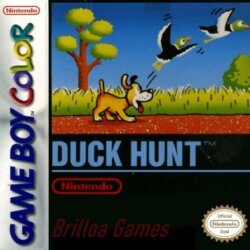 Duck Hunt