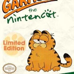 Garfield: The Nintencat