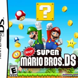 Newer Super Mario Bros. DS