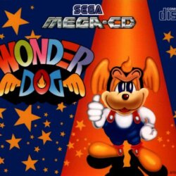 Wonder Dog