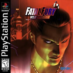 Fatal Fury: Wild Ambition