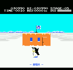 Antarctic Adventure