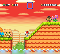 Toad's World